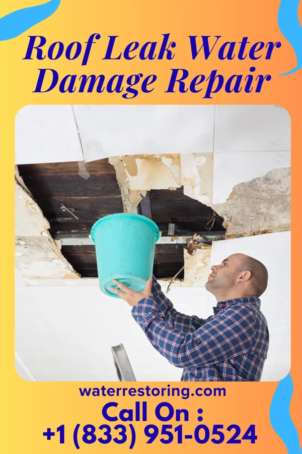 Roof Leak Water Damage Repair in Sedalia, MO