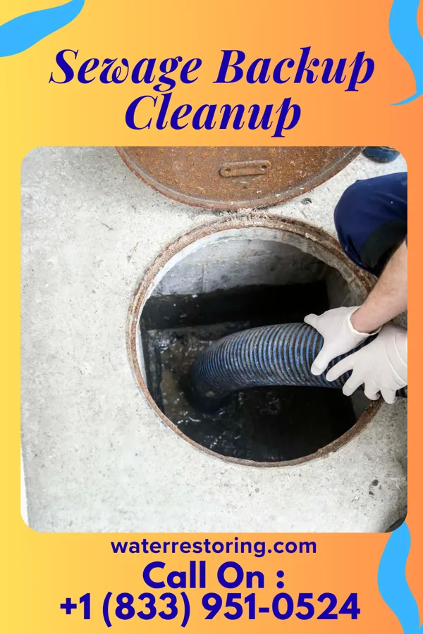 Sewage Backup Cleanup in Sedalia, MO